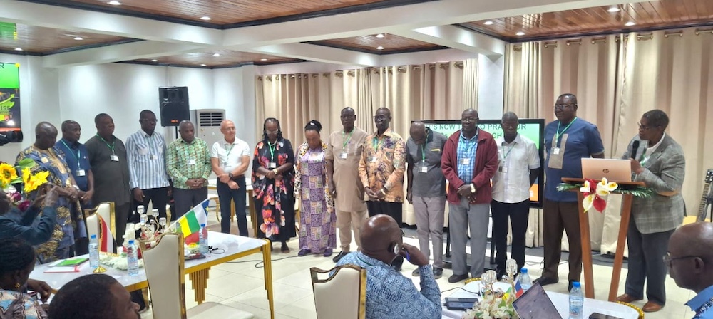 ARISE AND SHINE: Celebrating God's Work Across Africa